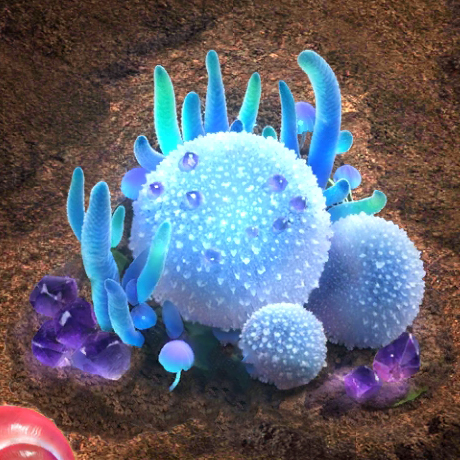 Description of image