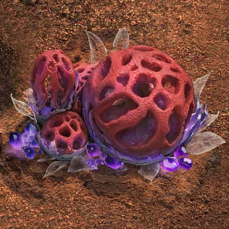 Description of image